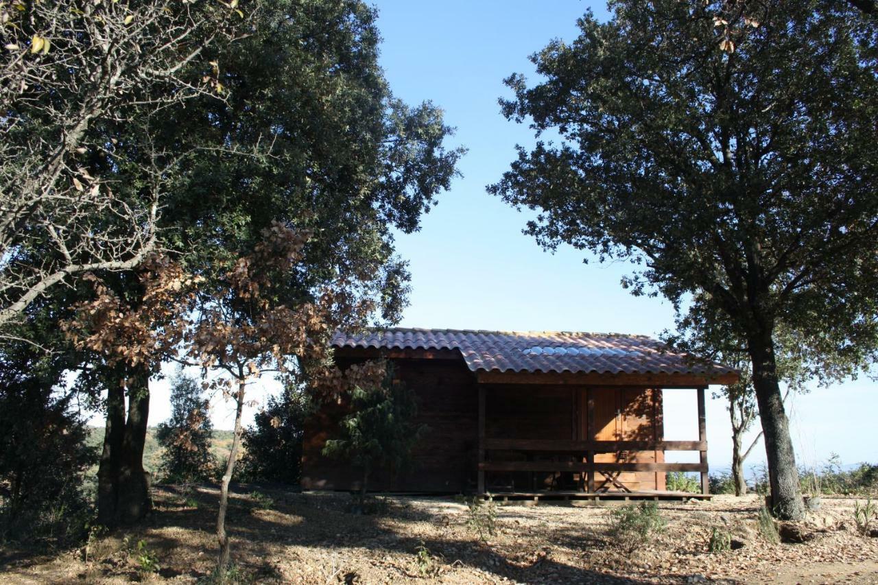 Les Chalets En Cevennes Saint-Christol-les-Ales Экстерьер фото